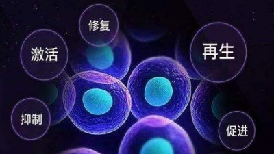 人生就是博-尊龙凯时酶制剂即将参加2021第五届生物活性肽研讨会